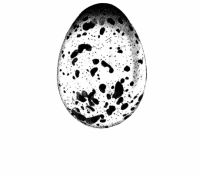 Egg 1